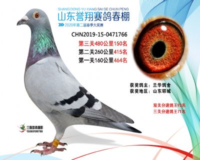 2020年誉翔150 副本
