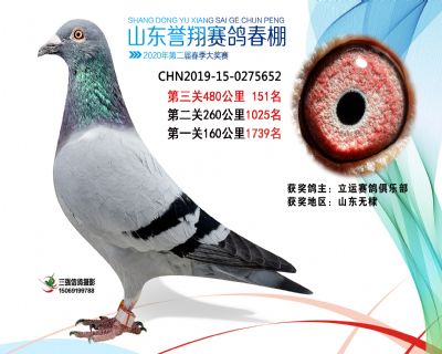 2020年誉翔151 副本