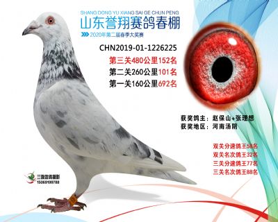 2020年誉翔152 副本