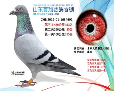 2020年誉翔153 副本