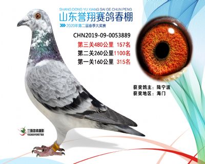 2020年誉翔157 副本