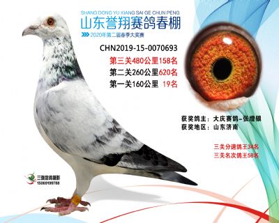 2020年誉翔158 副本