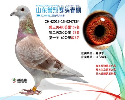2020年誉翔159 副本