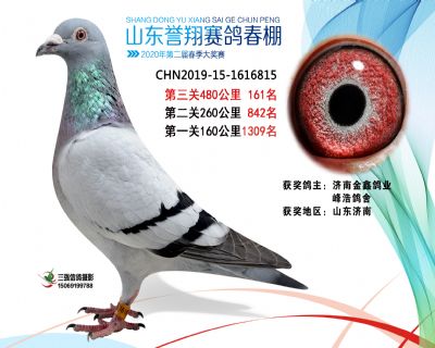 2020年誉翔161 副本