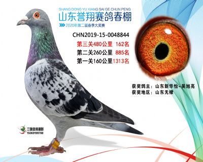 2020年誉翔162 副本