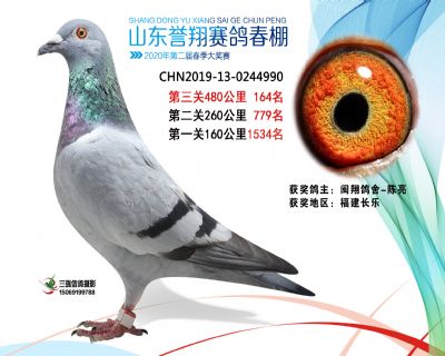 2020年誉翔164 副本