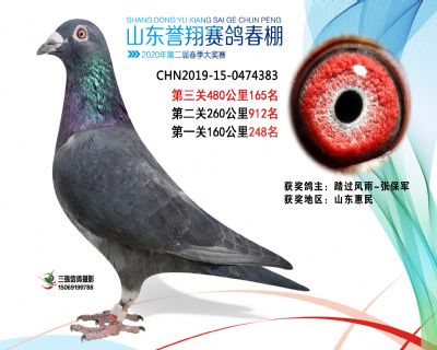 2020年誉翔165 副本
