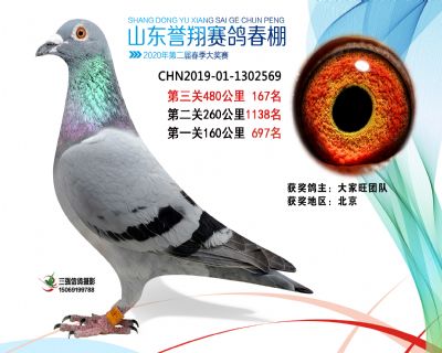 2020年誉翔167 副本