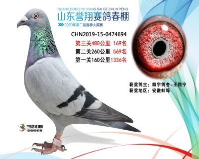 2020年誉翔169 副本