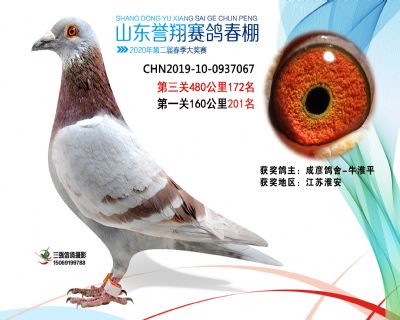 2020年誉翔172 副本