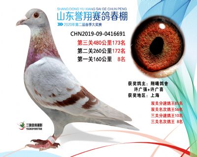 2020年誉翔173 副本