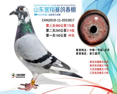 2020年誉翔175 副本