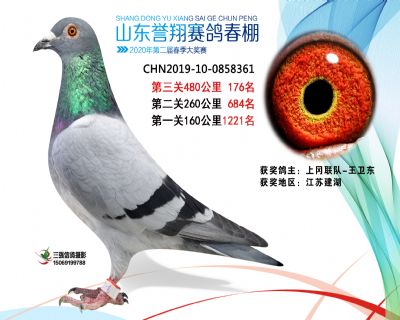 2020年誉翔176 副本