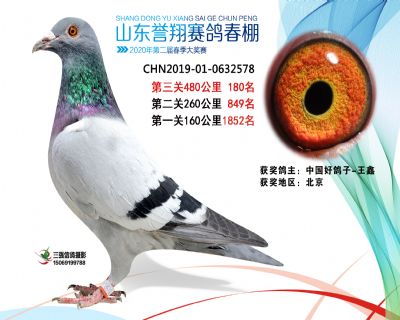 2020年誉翔180 副本