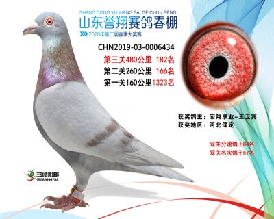 2020年誉翔182 副本