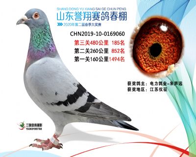 2020年誉翔185 副本