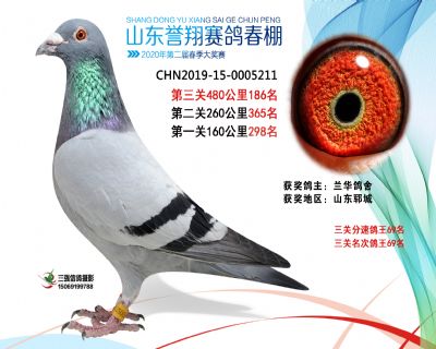 2020年誉翔186 副本