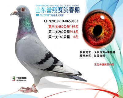 2020年誉翔189 副本