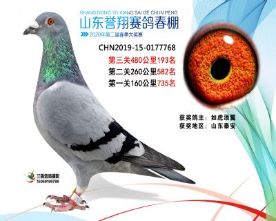 2020年誉翔193 副本