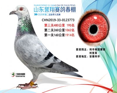 2020年誉翔195