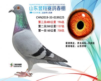 2020年誉翔196 副本