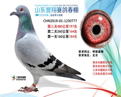 2020年誉翔197 副本