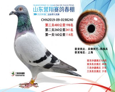 2020年誉翔198 副本