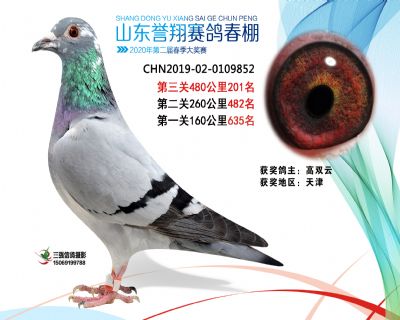 2020年誉翔201 副本