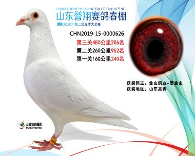 2020年誉翔206 副本