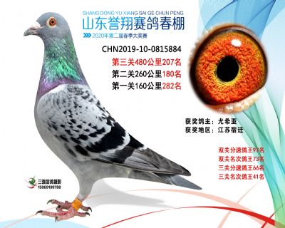 2020年誉翔207 副本