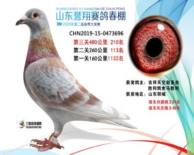 2020年誉翔210 副本
