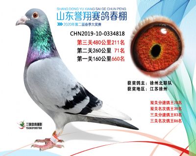 2020年誉翔211 副本