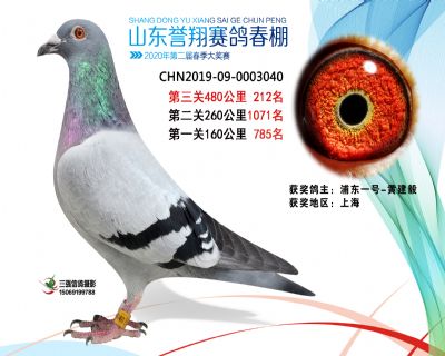 2020年誉翔212 副本