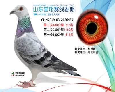 2020年誉翔215 副本