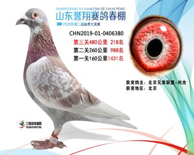 2020年誉翔218 副本