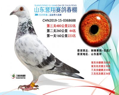 2020年誉翔222 副本