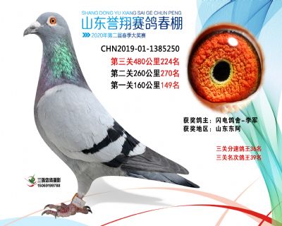 2020年誉翔224 副本