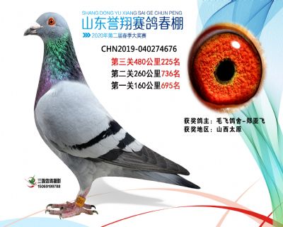 2020年誉翔225
