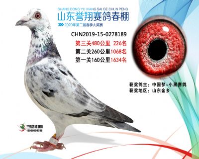 2020年誉翔226 副本