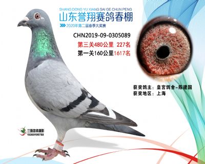2020年誉翔227 副本