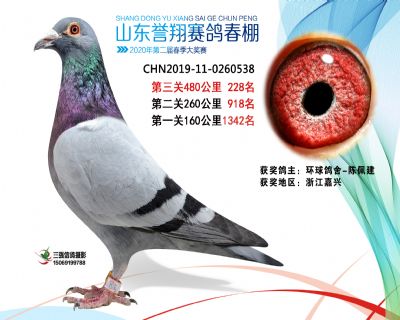 2020年誉翔228