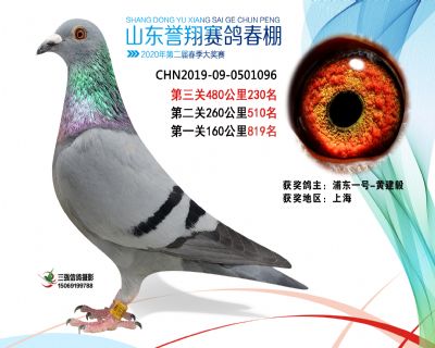 2020年誉翔230 副本