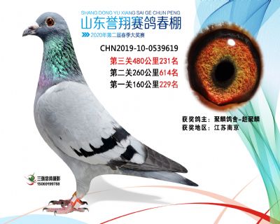 2020年誉翔231 副本