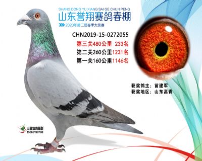 2020年誉翔233 副本