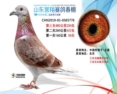 2020年誉翔234 副本