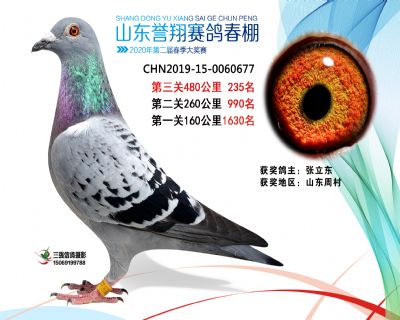 2020年誉翔235 副本