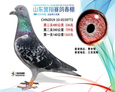 2020年誉翔236 副本