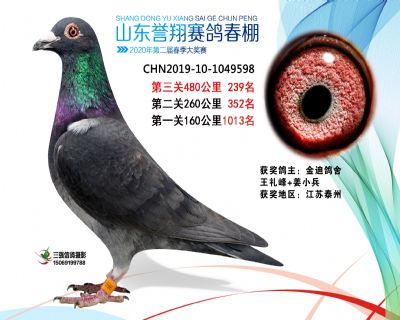 2020年誉翔239