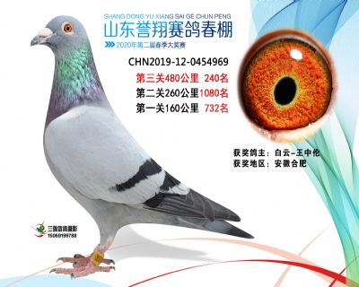 2020年誉翔240 副本