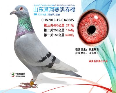 2020年誉翔241 副本